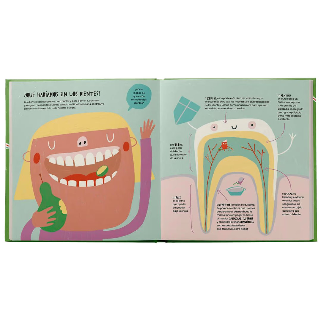La Vida Secreta de los Dientes - Imagen 5